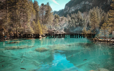 以下这些绿植, 不仅颜值高, 而且养护简单, 是家居绿植的首选 多肉植物多肉植物种类繁多, 造型各异, 是装饰家居的绝佳选择