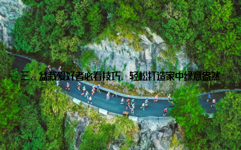 三、盆栽爱好者必看技巧, 轻松打造家中绿意盎然 选择合适的盆栽品种不同的盆栽品种适应环境不同, 选择适合自己家居环境的盆栽至关重要