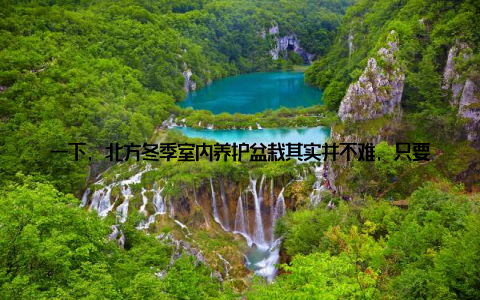 一下, 北方冬季室内养护盆栽其实并不难, 只要我们掌握了一些基本的技巧, 就能让我们的绿色小窝在寒冷的冬季里生机勃勃