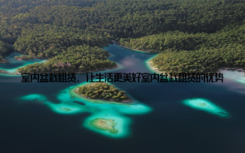 室内盆栽租赁, 让生活更美好室内盆栽租赁的优势不仅仅体现在美观和时尚, 更在于它给我们的生活带来了诸多好处