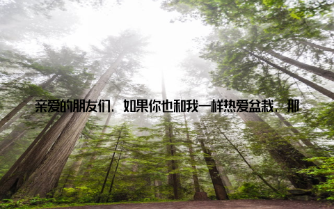 亲爱的朋友们, 如果你也和我一样热爱盆栽, 那就让我们一起努力, 让这些小生命在寒冷的冬季里也能感受到温暖吧! 希望我的冬季盆栽养护攻略能够帮到你, 让我们一起为这些可爱的生命加油!