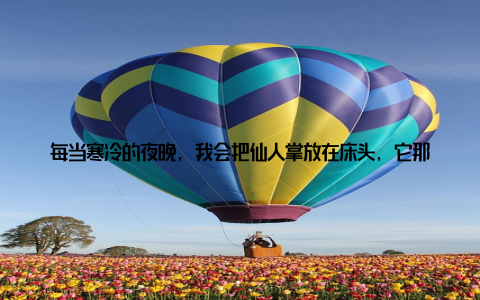 每当寒冷的夜晚, 我会把仙人掌放在床头, 它那小小的身影, 就像一个守护者, 陪伴我度过每一个寂寞的夜晚