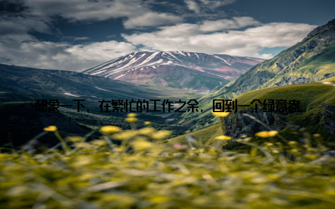 想象一下, 在繁忙的工作之余, 回到一个绿意盎然的家中, 是不是瞬间就能放松心情? 铁线莲的叶片翠绿, 花朵鲜艳, 无论是放在客厅、卧室还是书房, 都能为家居环境带来一股清新的气息