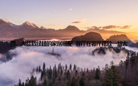 四、大盆栽绿植的家居搭配 客厅在客厅摆放一盆大盆栽绿植, 如橡皮树或绿萝, 既能净化空气, 又能增添绿意, 营造出舒适宜人的家居氛围