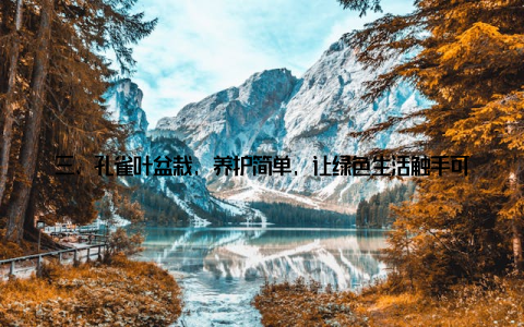 三、孔雀叶盆栽, 养护简单, 让绿色生活触手可及孔雀叶盆栽的养护非常简单, 即使是养护小白也能轻松上手