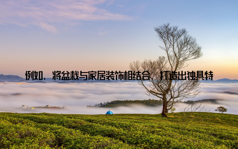 例如, 将盆栽与家居装饰相结合, 打造出独具特色的创意盆栽又或是推出定制盆栽服务, 根据消费者的需求, 为他们量身打造专属的绿色植物