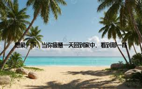 想象一下, 当你疲惫一天回到家中, 看到那一抹抹绿意, 是不是会瞬间感到心情愉悦? 这就是盆栽带来的温馨与美好