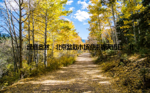 一、绿意盎然, 北京盆栽市场迎来春天近日, 北京盆栽市场焕发出勃勃生机, 吸引了众多市民和园艺爱好者的目光