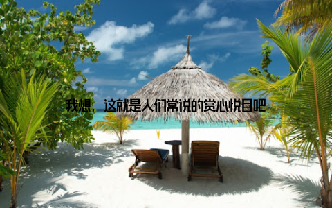 我想, 这就是人们常说的赏心悦目吧