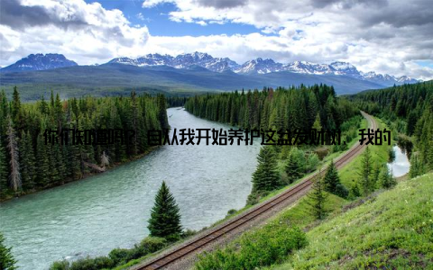 你们知道吗? 自从我开始养护这盆发财树, 我的生活发生了翻天覆地的变化, 不仅家里充满了绿意盎然的气息, 我的心情也变得更加愉悦