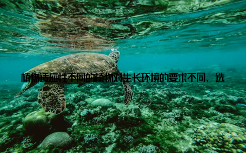 植物适应性不同的植物对生长环境的要求不同, 选择大盆栽盆时, 要考虑植物的生长习性, 确保它们能够在这片绿色家园中茁壮成长