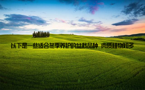 以下是一些适合冬季养护的盆栽品种 肉质植物如多肉植物、仙人掌等, 它们适应能力强, 耐寒性强, 适合冬季养护