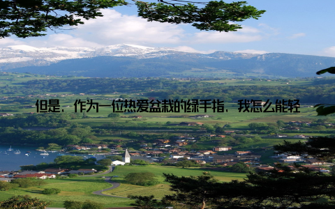 但是, 作为一位热爱盆栽的绿手指, 我怎么能轻易放弃呢? 于是, 我开始了一场与寒冷的较量, 一场为绿植安全过冬的保卫战