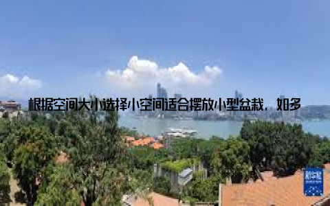 根据空间大小选择小空间适合摆放小型盆栽, 如多肉植物、仙人掌等大空间则可选择大型盆栽, 如橡皮树、发财树等