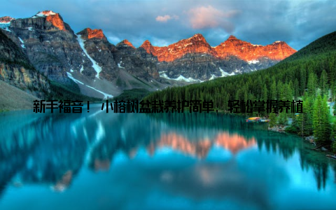 新手福音! 小榕树盆栽养护简单, 轻松掌握养植技巧, 让绿色生活触手可及随着生活节奏的加快, 越来越多的年轻人开始追求绿色、健康的生活方式