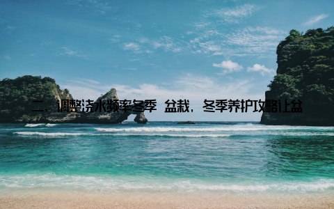 二、调整浇水频率冬季 盆栽, 冬季养护攻略让盆栽焕发活力温暖家居必备技巧中的第一个技巧就是调整浇水频率