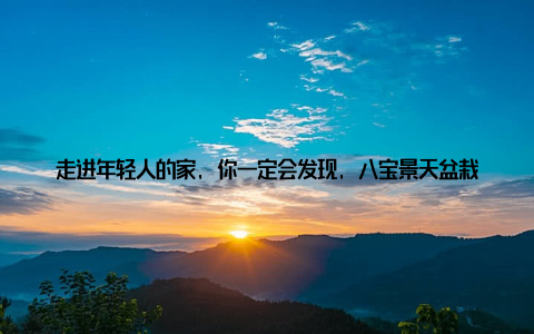 走进年轻人的家, 你一定会发现, 八宝景天盆栽的身影无处不在, 它不仅美化了家居环境, 更是时尚的象征