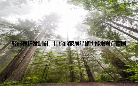轻松养护发财树, 让你的家居绿植也能发财在家居环境中摆放一盆翠绿的发财树, 不仅能为生活增添一抹生机, 更是寓意着财运亨通