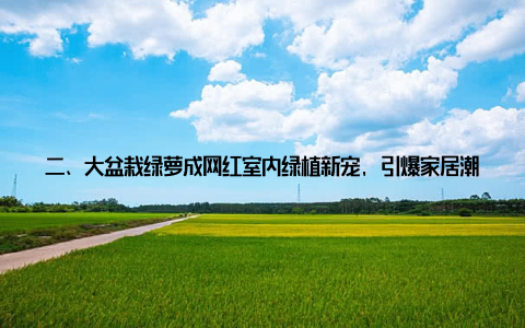 二、大盆栽绿萝成网红室内绿植新宠, 引爆家居潮流 潮流元素随着人们对绿色生活的追求, 大盆栽绿萝成为了家居潮流的新宠