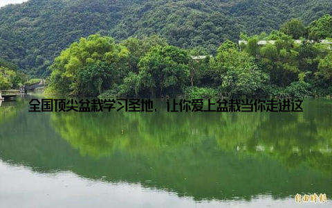 全国顶尖盆栽学习圣地, 让你爱上盆栽当你走进这些学习圣地, 你将发现, 盆栽不仅仅是一种艺术, 更是一种生活态度