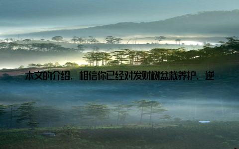 本文的介绍, 相信你已经对发财树盆栽养护, 逆境中茁壮成长, 发财树盆栽逆境生存与养护之道有了更深入的了解