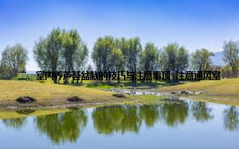 二、室内养芦荟盆栽的技巧与注意事项 注意通风室内养护芦荟时, 要注意保持良好的通风, 避免空气过于潮湿, 导致芦荟叶片发黄、烂根