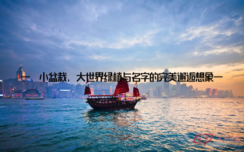 一、小盆栽, 大世界绿植与名字的完美邂逅想象一下, 当你疲惫地回到家中, 看到那盆名为宁静之泉的小盆栽, 它翠绿的叶片仿佛在向你诉说着一天的疲惫, 而你只需轻轻抚摸, 便能感受到一股清新的力量