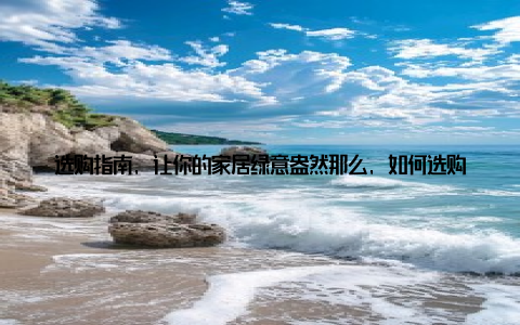 选购指南, 让你的家居绿意盎然那么, 如何选购一款适合自己的创意盆栽盆呢? 以下是一些选购指南, 帮助你轻松挑选心仪的大盆栽盆