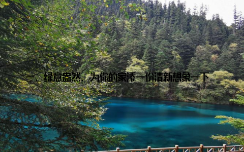 一、绿意盎然, 为你的家添一份清新想象一下, 当你疲惫地回到家中, 眼前出现一盆生机勃勃的松树, 它的翠绿仿佛能够洗净你一天的疲惫