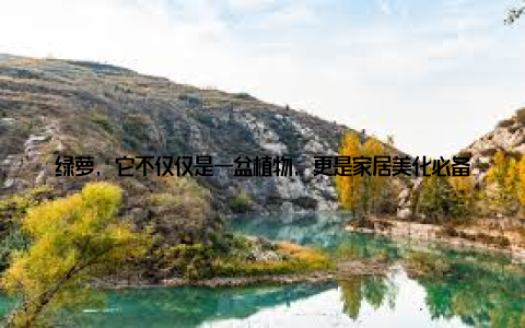 绿萝, 它不仅仅是一盆植物, 更是家居美化必备的神器, 让我们一起来感受大盆栽绿萝带来的绿意盎然, 让家焕发新生! 绿萝, 家居绿化的软装大师大盆栽绿萝, 大盆栽绿萝绿意盎然家居美化必备神器, 这句话道出了绿萝在家居装饰中的重要性